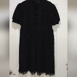 Ivy City Black Lace Lined Dress 2X